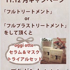 11・12月キャンペーン