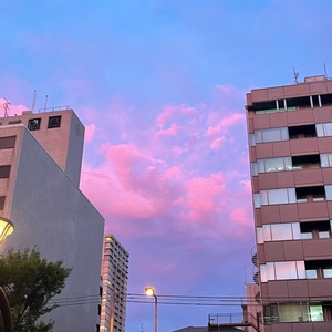 ピンクと水色の空/安田家